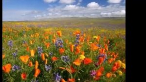 Мама, чао! - Tina Russian (дворовая песня)