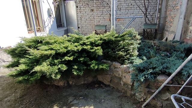 Одесса. 19 марта 2022. смотреть онлайн