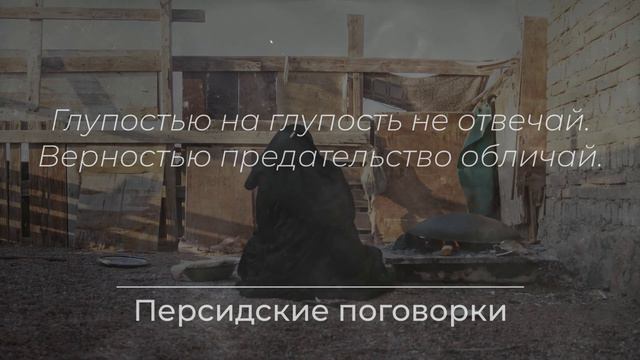 Самые Сильные Цитаты Персидских Мудрецов, Меняющие Жизнь смотреть онлайн