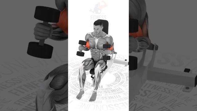 Сгибания рук с гантелями хватом «молоток»/Bending the arms with dumbbells with a grip "hammer" смотреть онлайн