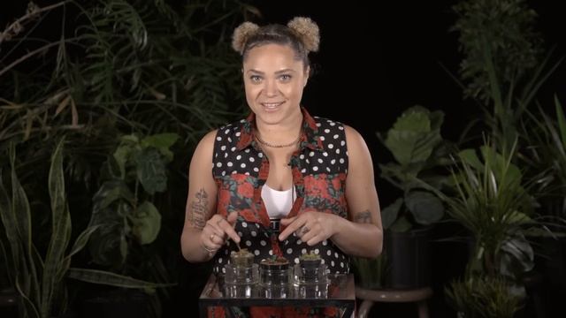 Sundew: The Sticky Plant With A Killer Instinct смотреть онлайн