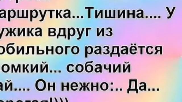 Самые смешные картинки с надписями! Видеоприколы смотреть онлайн