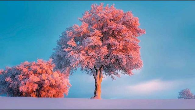 6 декабря Митрофанов день.Народные приметы,обычаи,традиции.Ворожили на суженного. смотреть онлайн