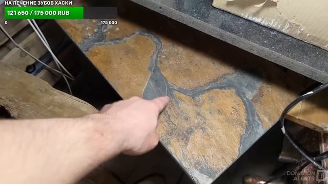 кормим и гуляем с хаски смотреть онлайн