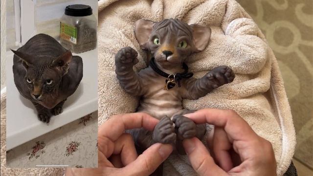 Силиконовый котёнок/обзор/silicone kitten смотреть онлайн