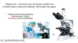 Микроскоп құрлысы