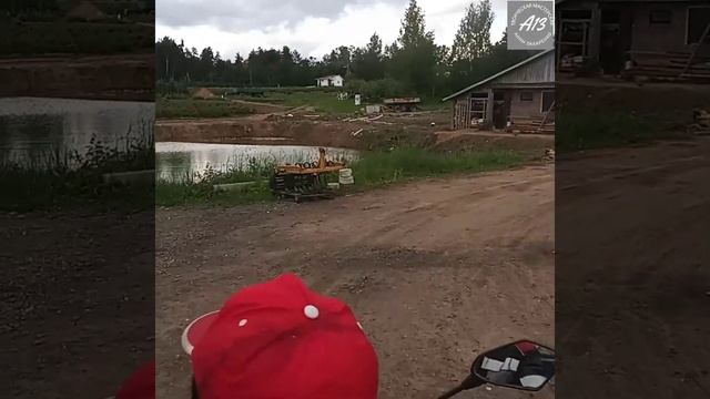 Мастерская_А13          Посадка туй в кашпо.