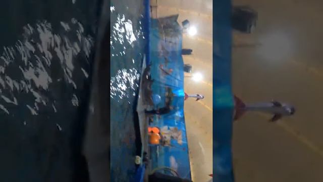 В дельфинарии | Уфа смотреть онлайн