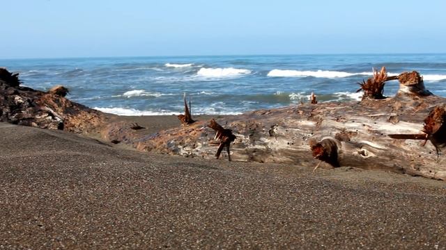 Cambria Coast смотреть онлайн