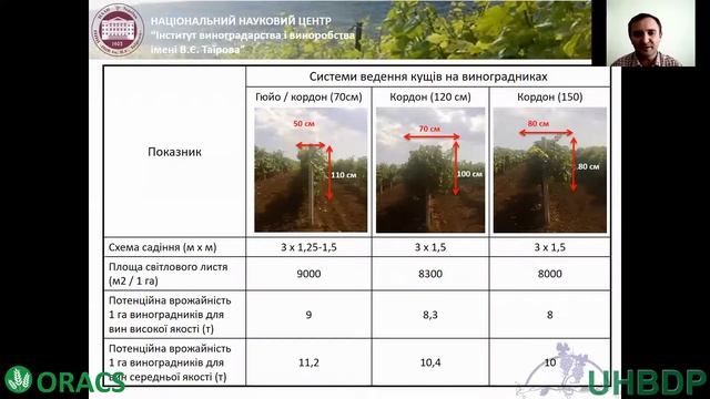 Створення промислових виноградних насаджень смотреть онлайн