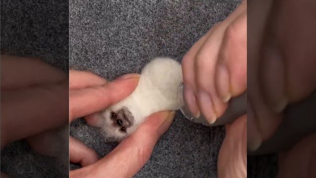 Сухое валяние. Работа обратной иглой. #мастеркласс #сухоеваляние #felting #машинкадляваляния смотреть онлайн