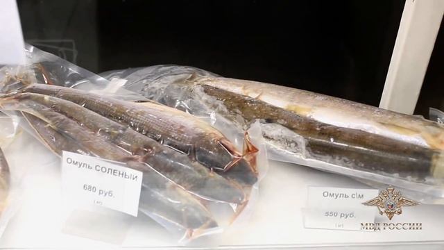 Незаконный байкальский омуль смотреть онлайн