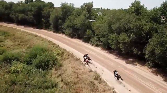 Handicap на лошадях старшего возраста смотреть онлайн