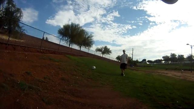 GO PRO Dog point of view смотреть онлайн