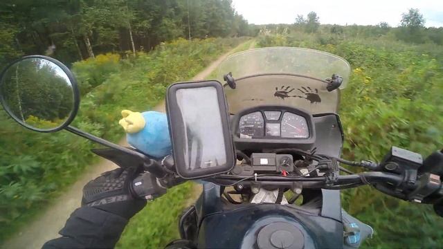 13ч. День мотоцикла. Жопа смотреть онлайн