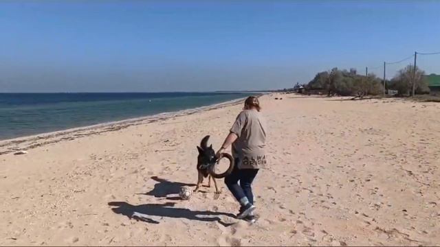 Азовское море в октябре.Язык через плечо и чё! Счасливчик и точка! смотреть онлайн