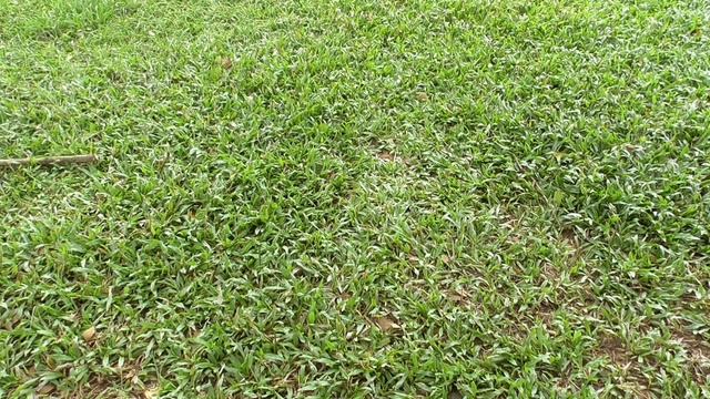 Perbandingan Speaker Radio Panasonic 2400D dengan Sony ICF 19 смотреть онлайн