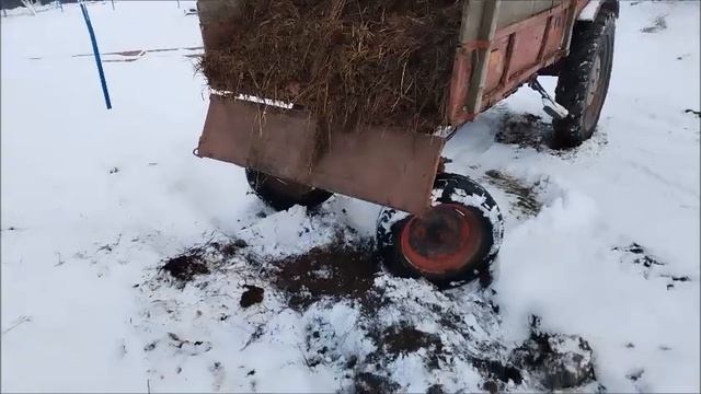 Не предсказуемая зима, подготовка к весне работа по участку 2023 смотреть онлайн