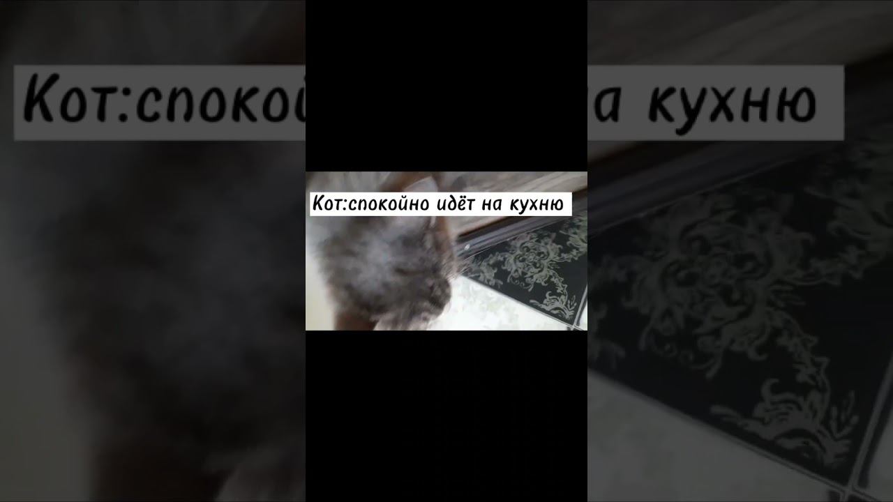 #shorts смотреть онлайн