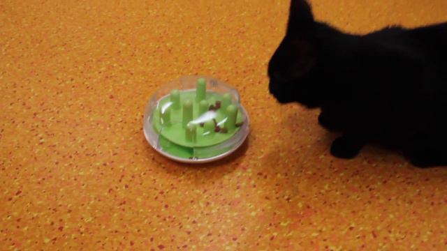 Catit Senses 2.0 Feeder смотреть онлайн