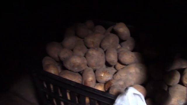 Где можно хранить картошку. Что такое погреб? Where you can store potatoes.What does the cellar mea смотреть онлайн
