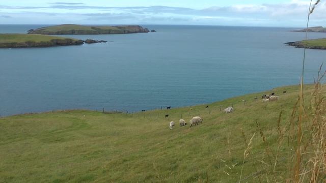 Shetland Islands, Scotland, Jarlshof And Lerwick (by Scenic Gems)