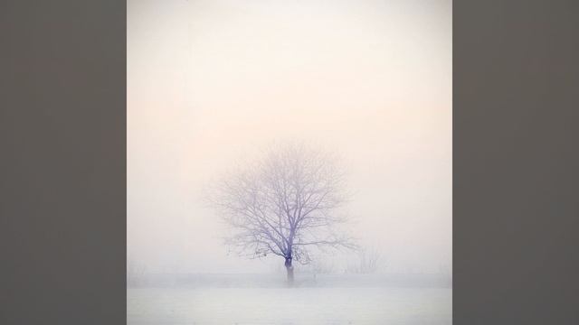 Infinite Swirling Blizzard - White Noise for Baby Sleep, Relaxation and Study смотреть онлайн