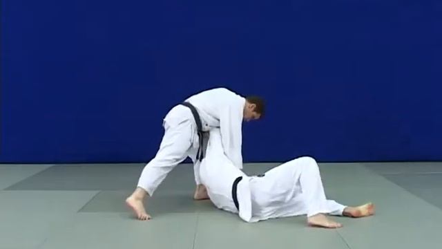 ashi_guruma(1).avi смотреть онлайн