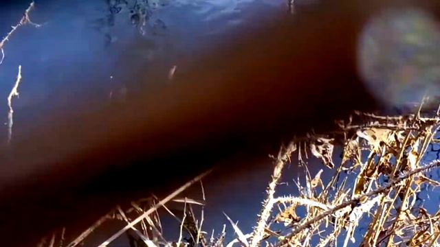 Поляризационные очки смотреть онлайн