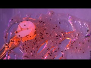 ASMR 100% уснешь  ? (No Talking) СРАЗУ УСНЕШЬ ЛУЧШИЕ ТРИГГЕРЫ