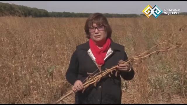 "Эйнштейн ізімен" - Микробиология және вирусология (033) - 07.10.14 смотреть онлайн