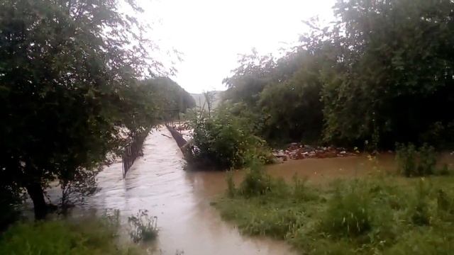 С. Сергиевское. 25. 05.2017 смотреть онлайн