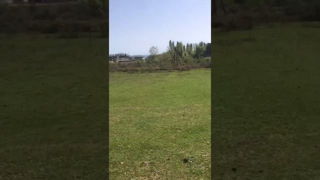 Продаётся Участок 40 соток в АБХАЗИИ смотреть онлайн