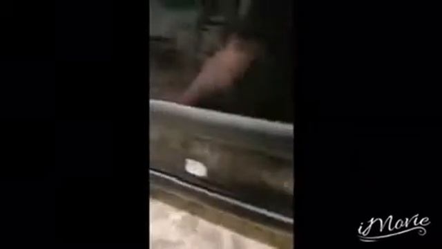 Кузовной ремонт Skoda Yeti смотреть онлайн