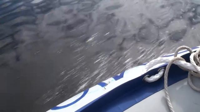 Подвесной лодочный мотор SAIL F9.9 S смотреть онлайн