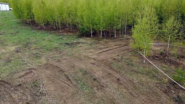 МИНИПОГРУЗЧИК Takeuchi TL8R2 с МУЛЬЧЕРОМ Serrat MF3. РАСЧИСТКА на МИНИТЕХНИКЕ. МУЛЬЧЕР или РОТОВАТО смотреть онлайн