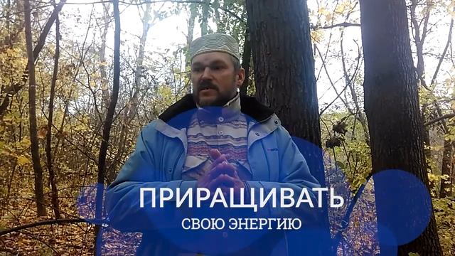 Как набрать энергию в лесу/Оксскааллдорст смотреть онлайн