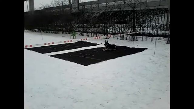ОКД СДП "Ховрино" 13.02.16 смотреть онлайн