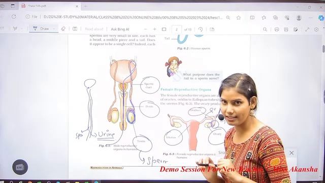 Class 8 Science I Reproduction In Animals смотреть онлайн