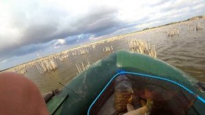 Карпфишинг в Крыму!Ловля карпа в завоз! Рыбалка в крыму на озерах