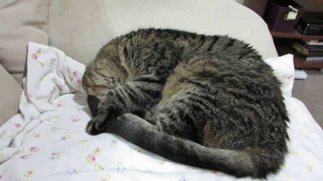 Riley Update - In My Shoes Ep. 101 смотреть онлайн