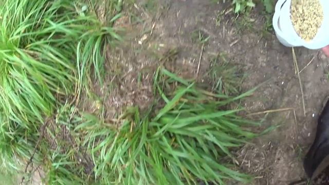 Ночная рыбалка на донки на реке, ловим на пенопласт и сало, в кормушках пшено и Дунаев лето. смотреть онлайн