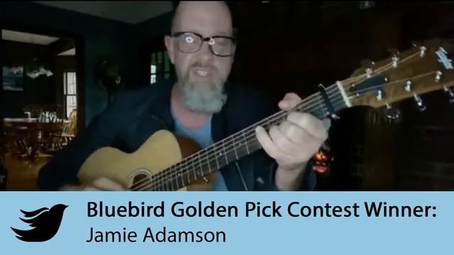 The Bluebird Golden Pick Finale смотреть онлайн
