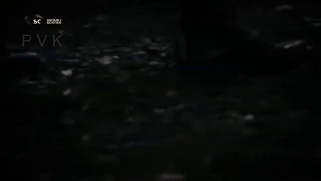 Этим двум coлдaтам не верили, что они были на НЛО пришельцев, пока они не попали смотреть онлайн