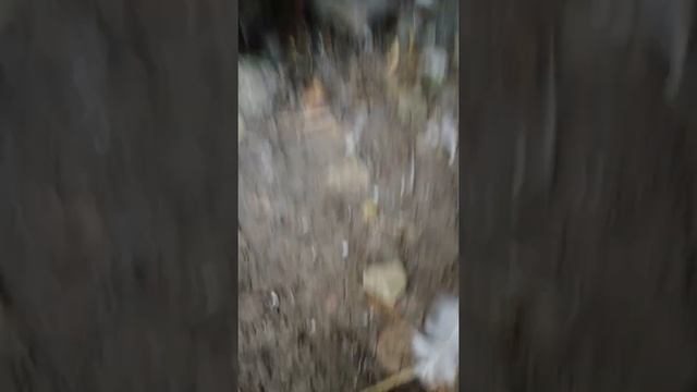 утепляю углы дома.чтоб избавиться от плесени.и как я провожу день в станице! смотреть онлайн