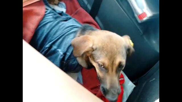 Стерилизация Насти и Ксюши смотреть онлайн