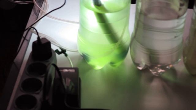 Хлорелла за 2 дня без удобрений смотреть онлайн