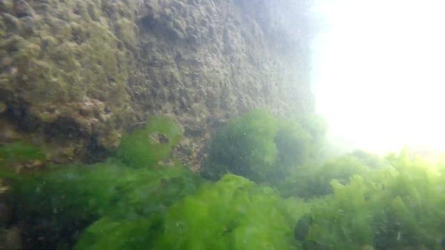 Море море морюшко смотреть онлайн