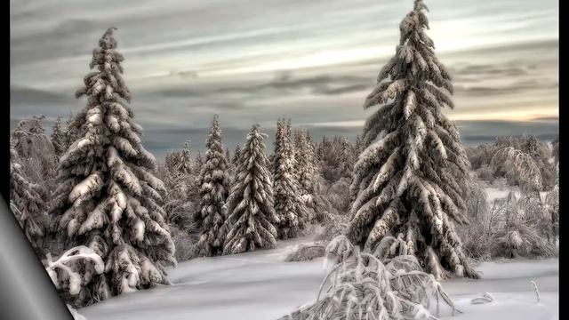 ''Зимние зарисовки