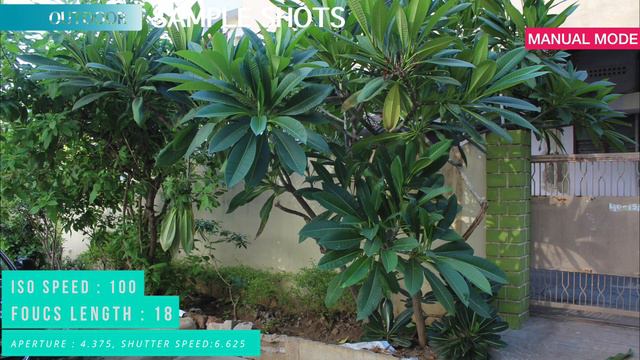 Canon EOS 1300D 18MP DSLR Camera Review with Sample Photos смотреть онлайн